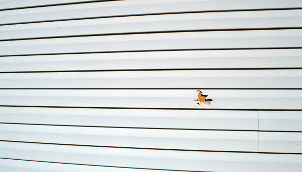 Best Siding Maintenance  in Oakley, CA