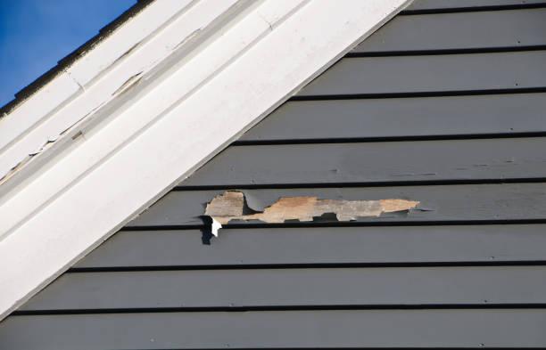 Best Siding for Commercial Buildings  in Oakley, CA