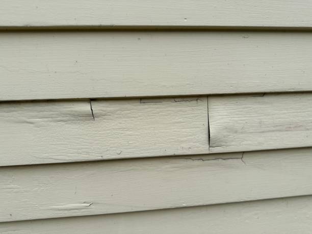 Best Residential Vinyl Siding Installation  in Oakley, CA